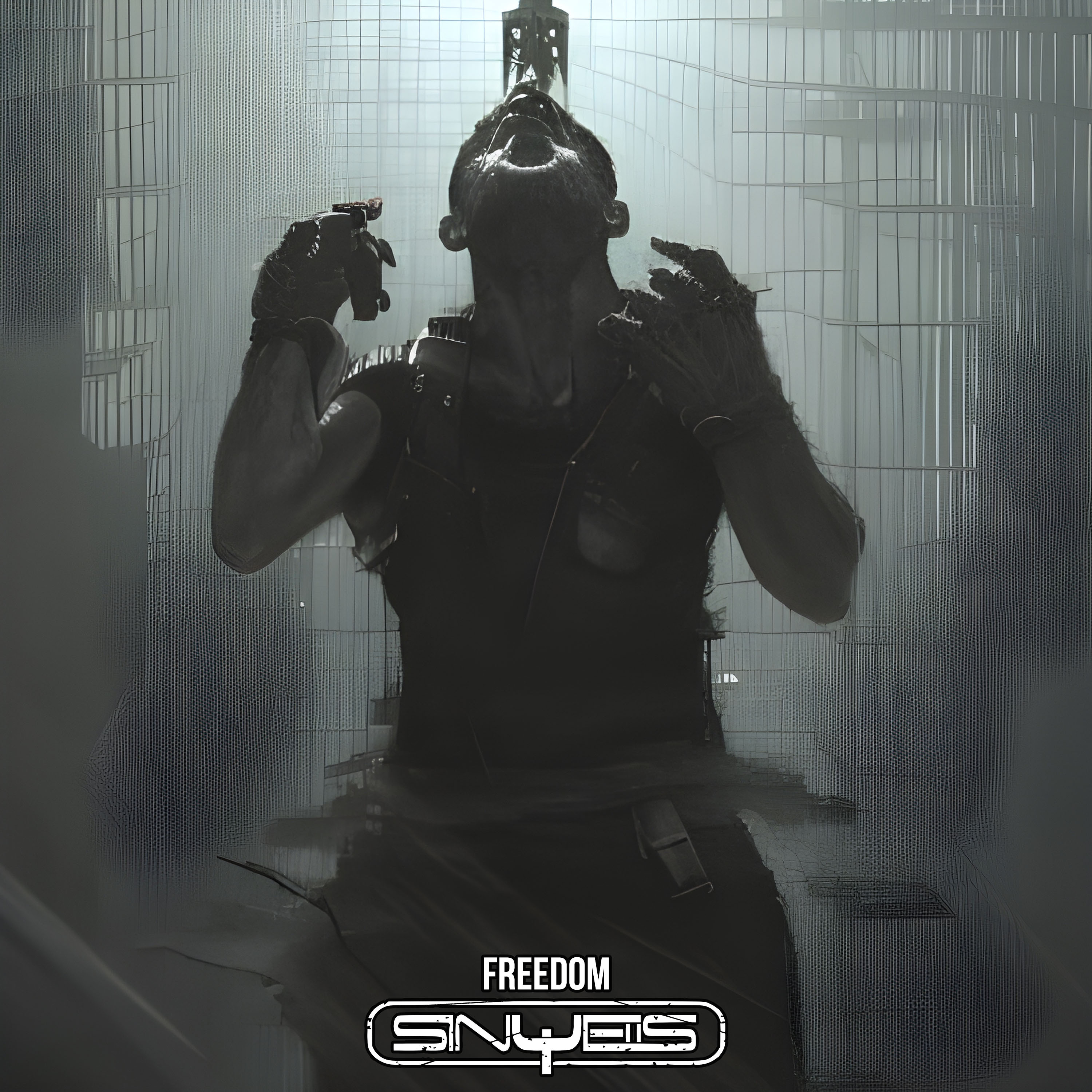 Art_Cover_-_Freedom_by_Sinyells_1