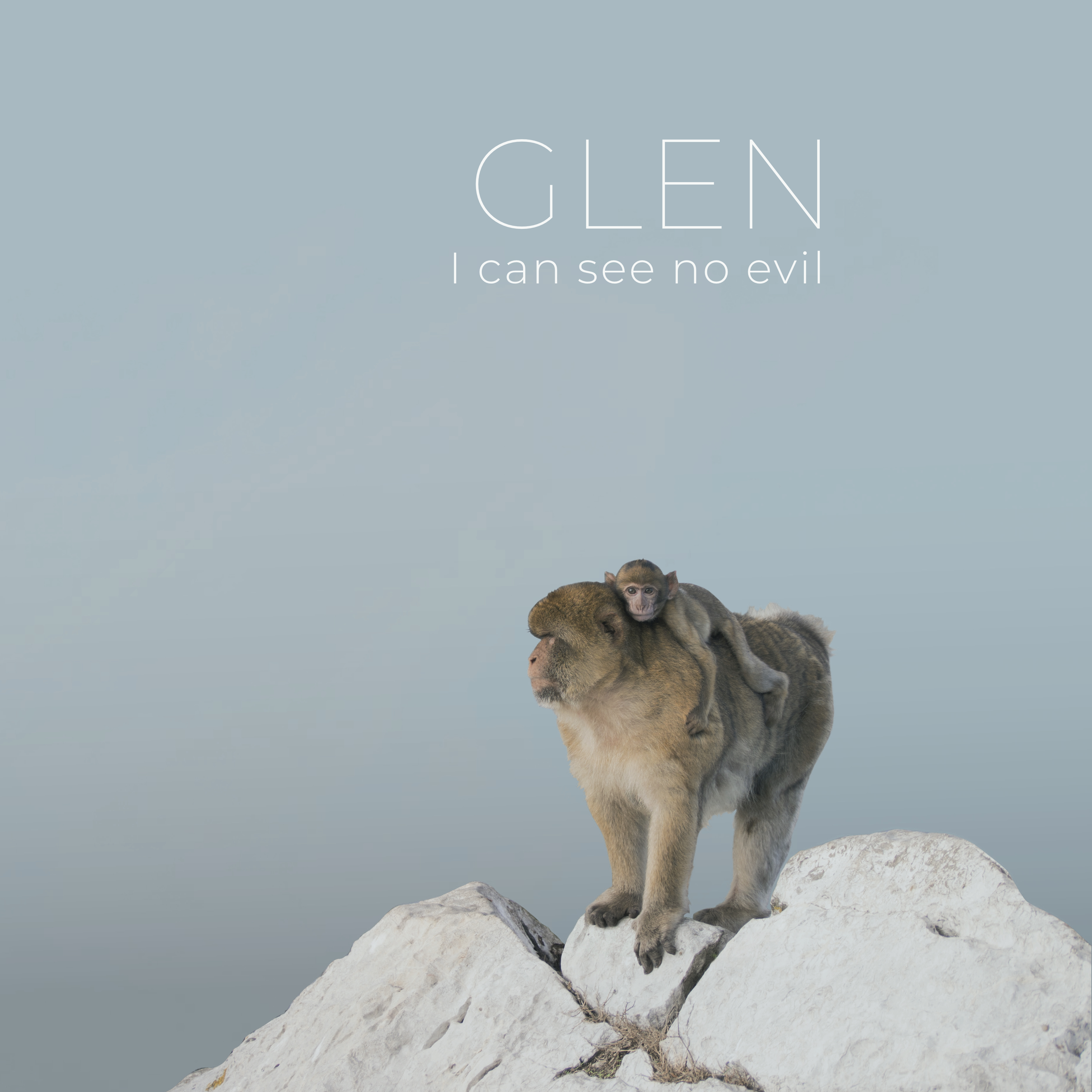 GLEN_-_I_Can_See_No_Evil_-_LP_Cover_Front